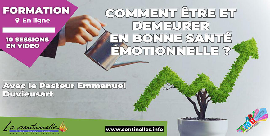 un-leader-disciple-en-bonne-sante-emotionnelle-870x440.jpg