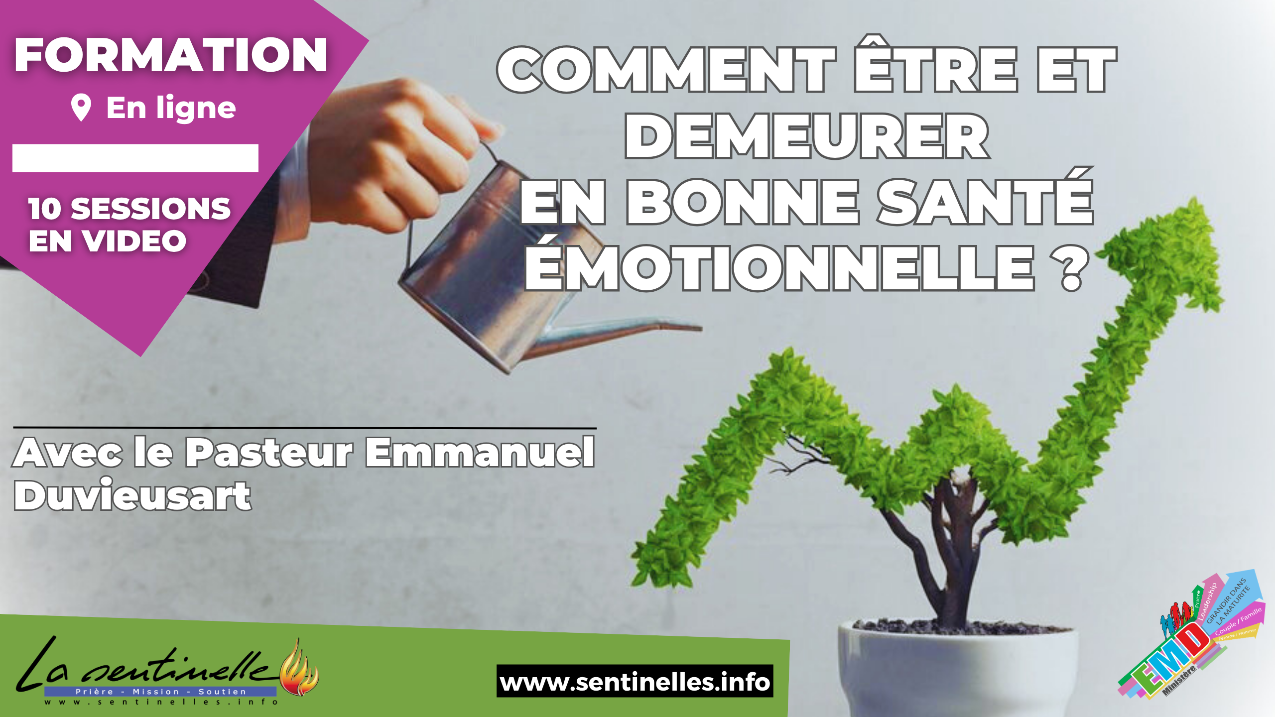 Formation Bonne santé émotionnelle - Video.png